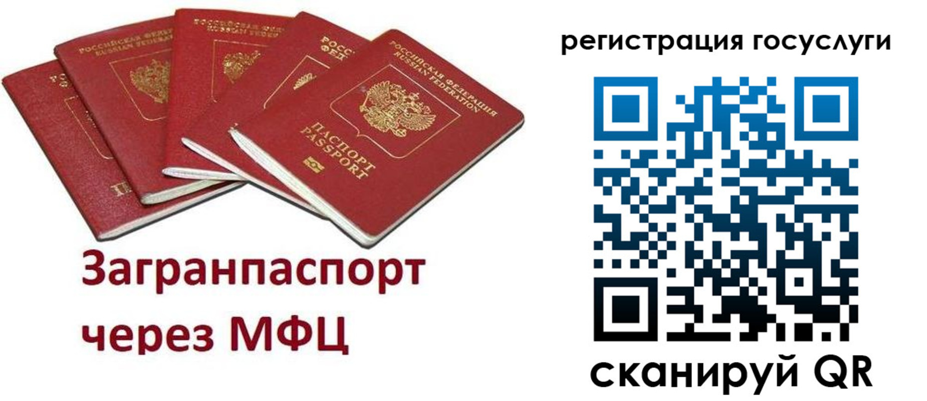 прописка 2025 в Электрогорске